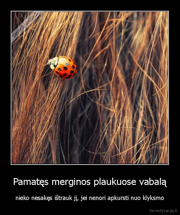 mergina,plaukai,vabalas,klyksmas