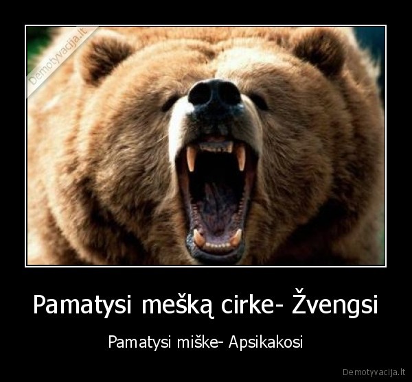 Pamatysi mešką cirke- Žvengsi