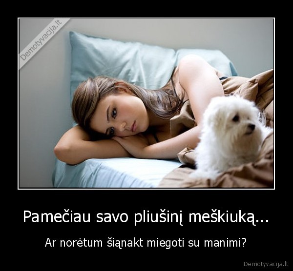 pliusinis,meskiukas,miegoti,sianakt,manimi,pameciau,pamesti,panele,grazi
