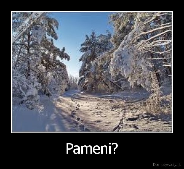Pameni?