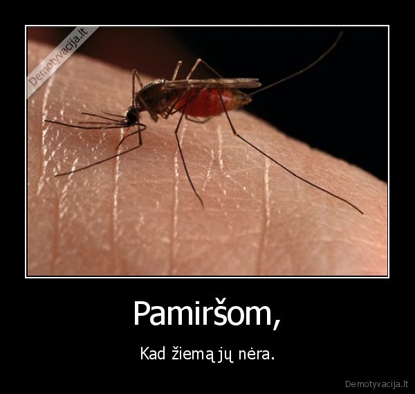 uodai,gelia,erzina,kasytis