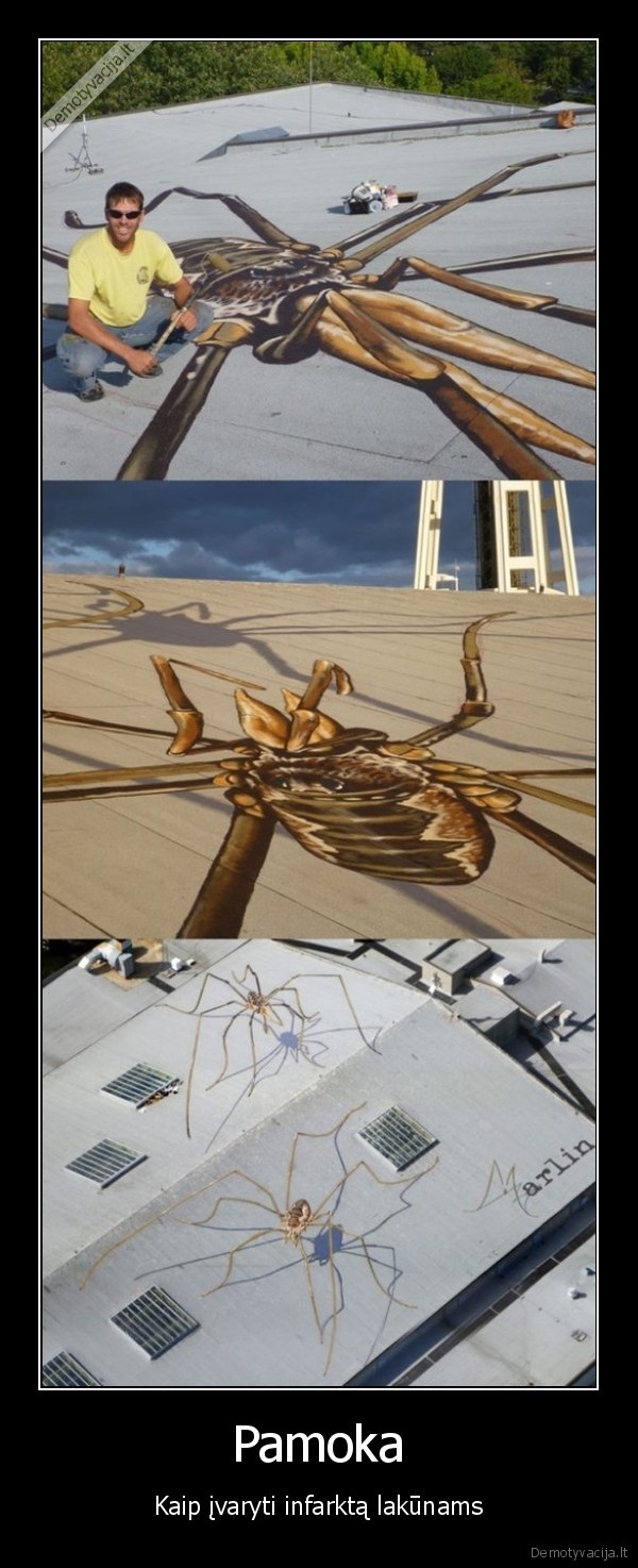 lakunai,piesinys, ant, stogo,didziulis, voras