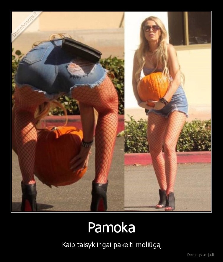 moliugo, kelimas,mokykites