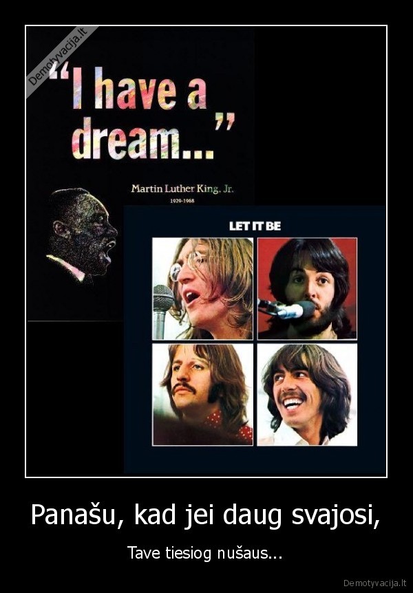 bitlai,kingas,svajone