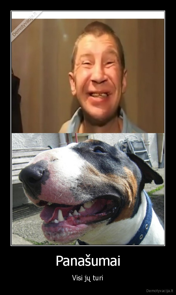 jus, lopai, jeigu, nepatvirtinsit,eisiu, laizyt, pizdu, jus, man, nuobodus