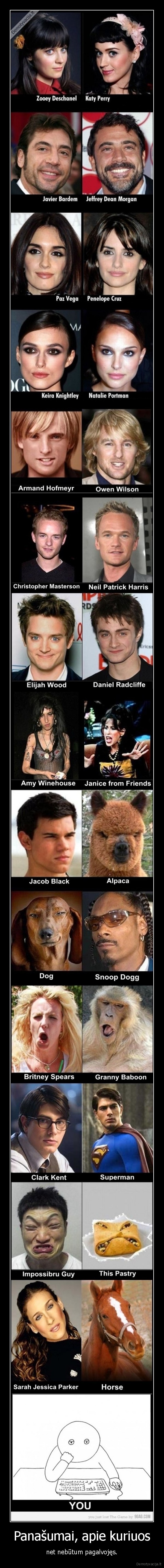 Panašumai, apie kuriuos