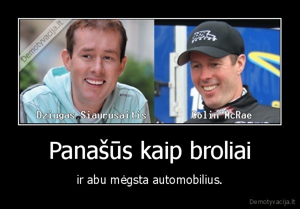 arkli, pardaves, byrka, vagos, nesuarsi