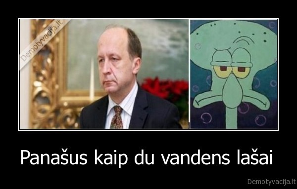 Panašus kaip du vandens lašai 