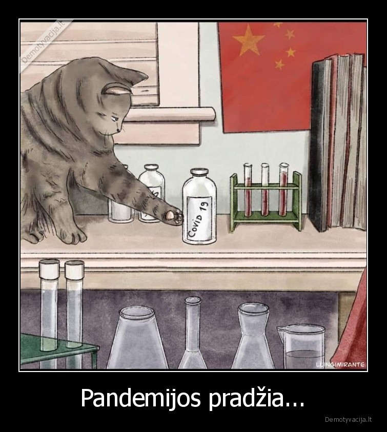 katinas,karantinas,pandemija