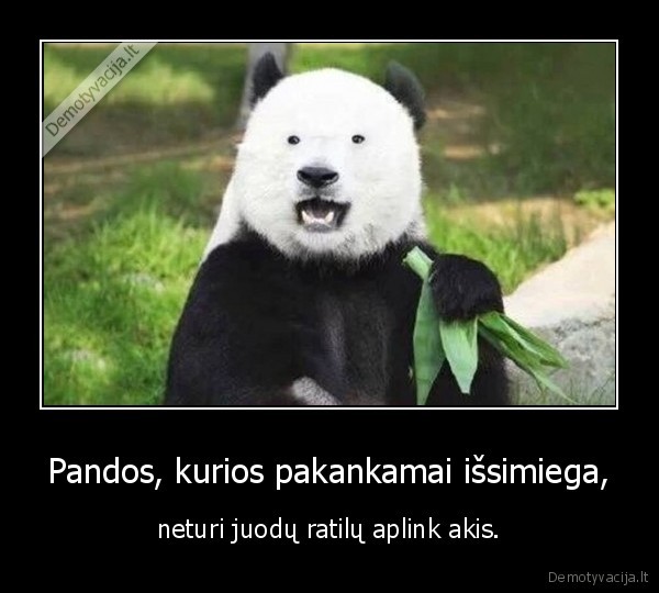 panda,akys,ratilas,miegas
