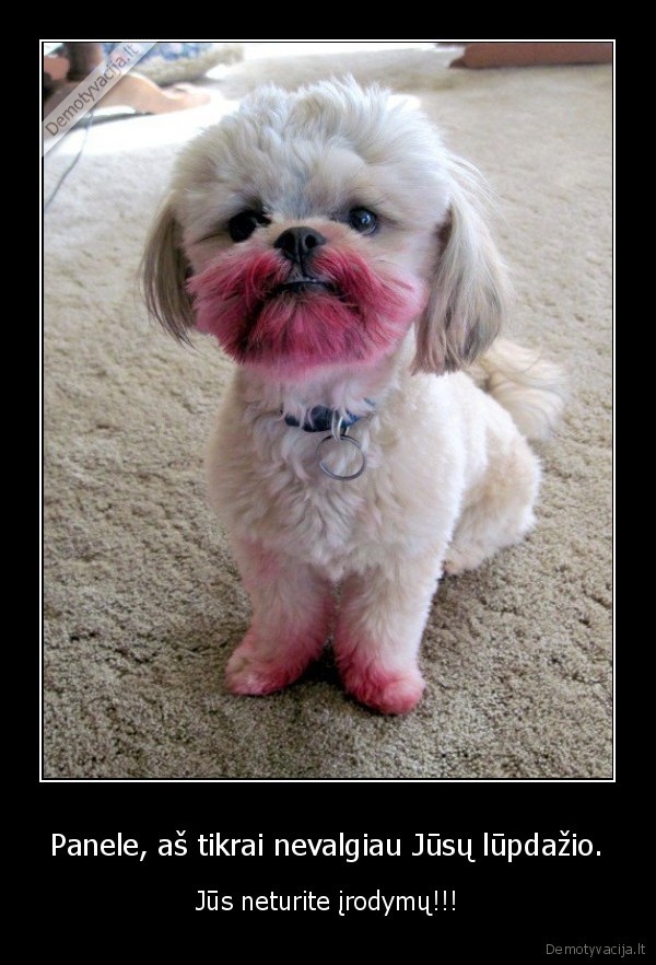 Panele, aš tikrai nevalgiau Jūsų lūpdažio.