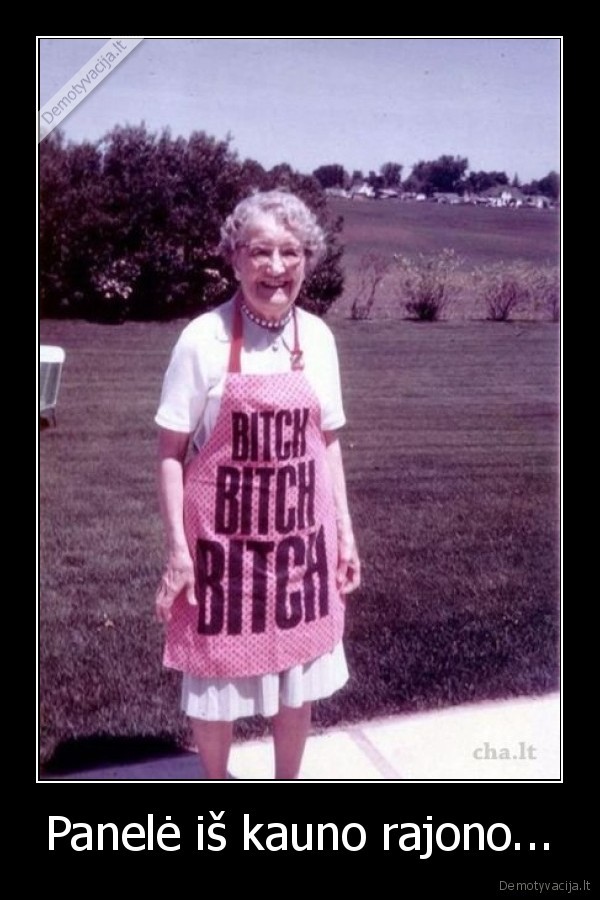 Panelė iš kauno rajono...