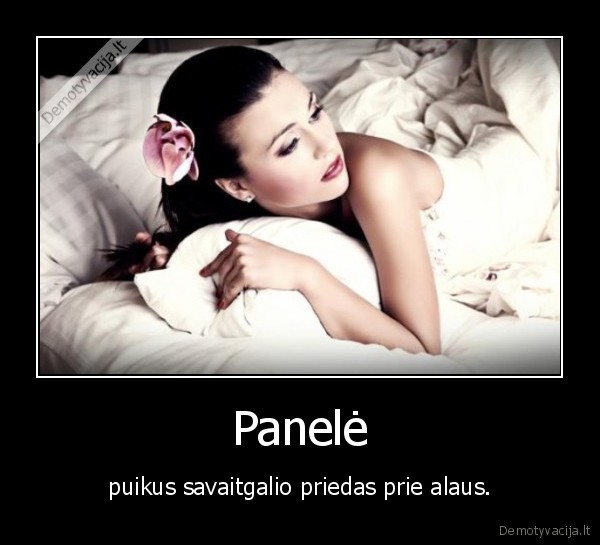 Panelė