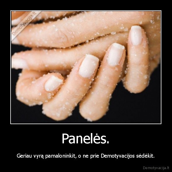 panele,nolife, facebook