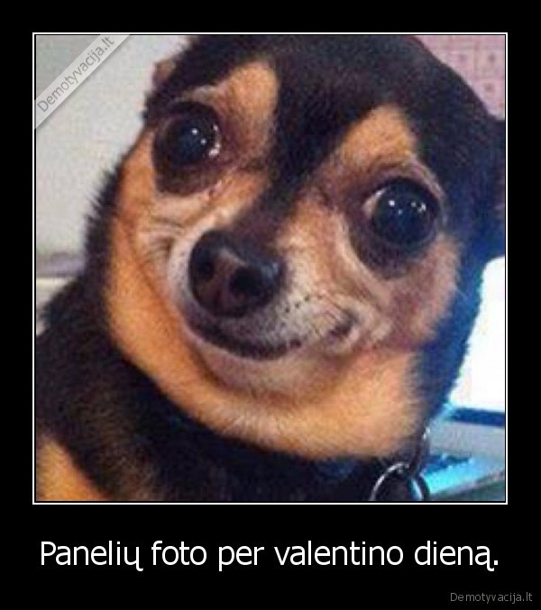 Panelių foto per valentino dieną.