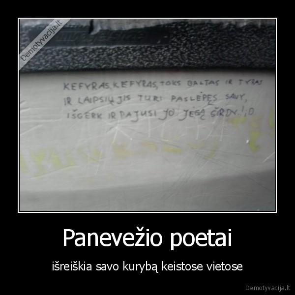 panevezys,kvailos, zymes