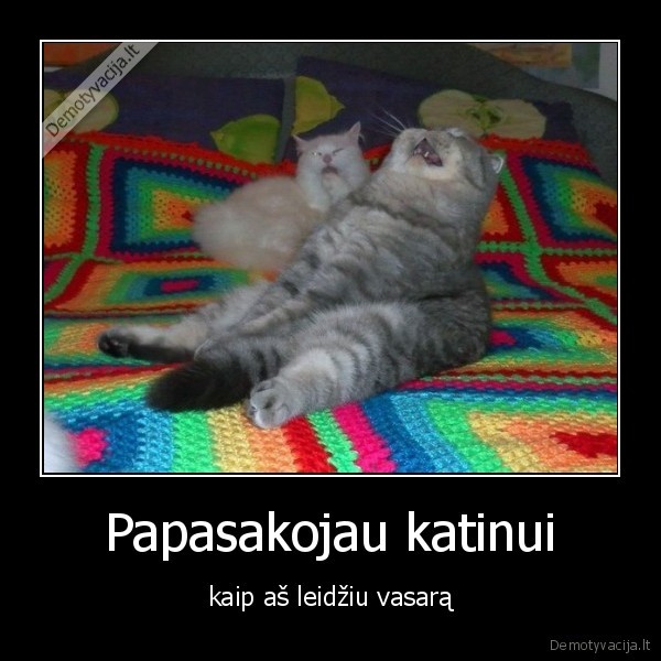 vasara,katinas,leidziu