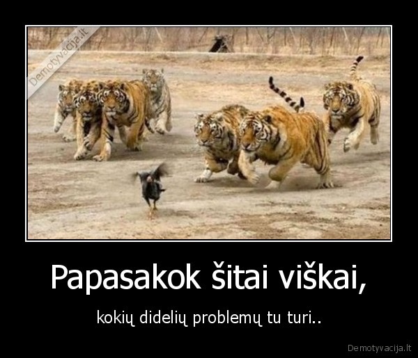 Papasakok šitai viškai,