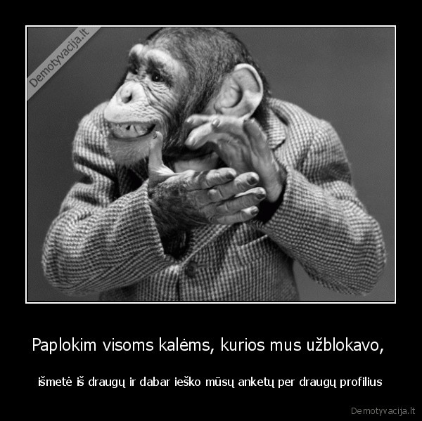 Paplokim visoms kalėms, kurios mus užblokavo, 