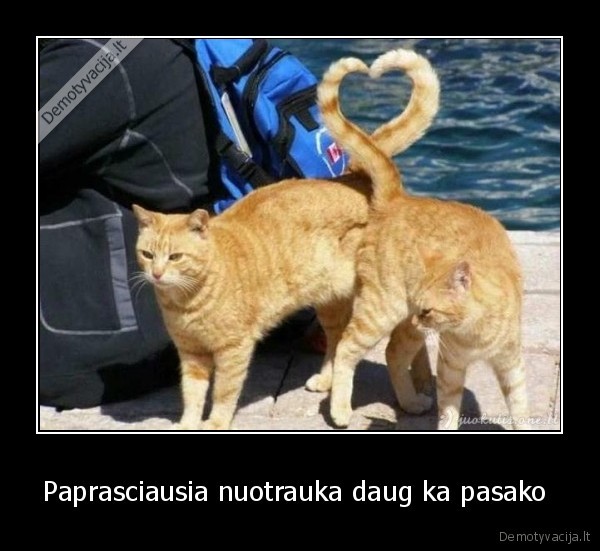 Paprasciausia nuotrauka daug ka pasako 