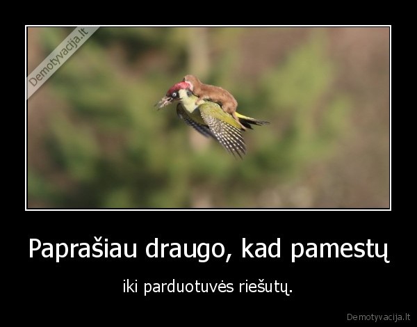 paukstis,draugas,riesutai,vovere,parduotuve