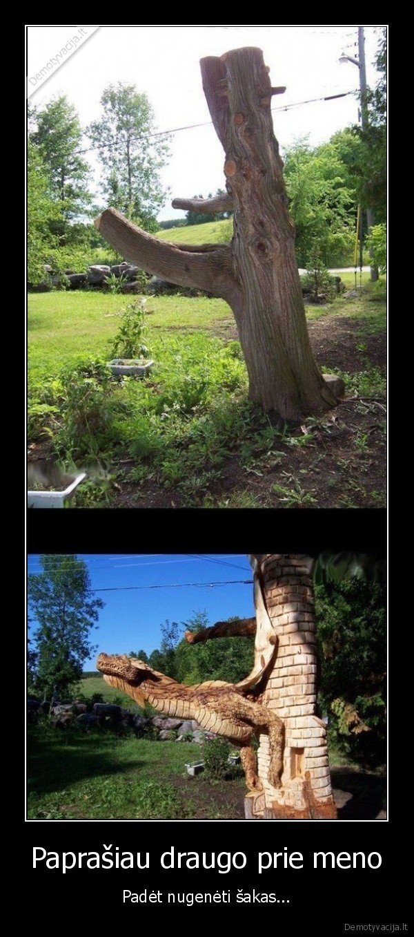 menas, ant, medzio,medzio, drozinys