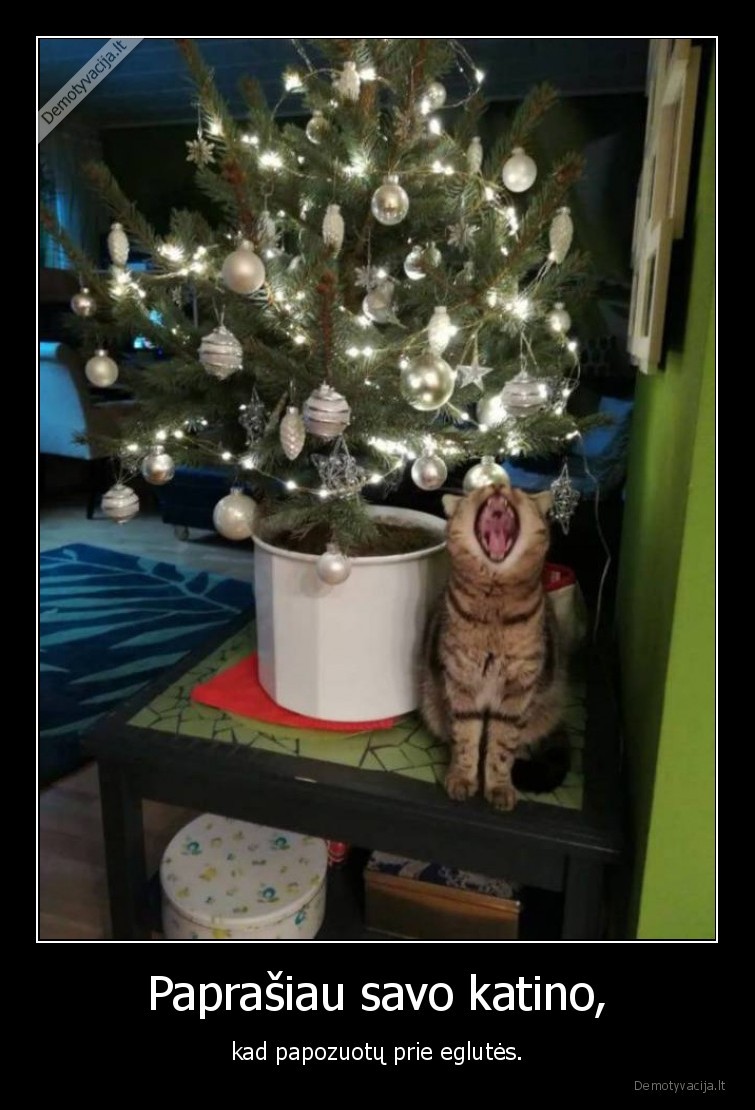 katinas,kate,eglute,ziovulys