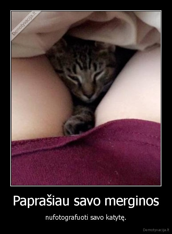 katyte,katukas,kaciukas,mergina,pussy