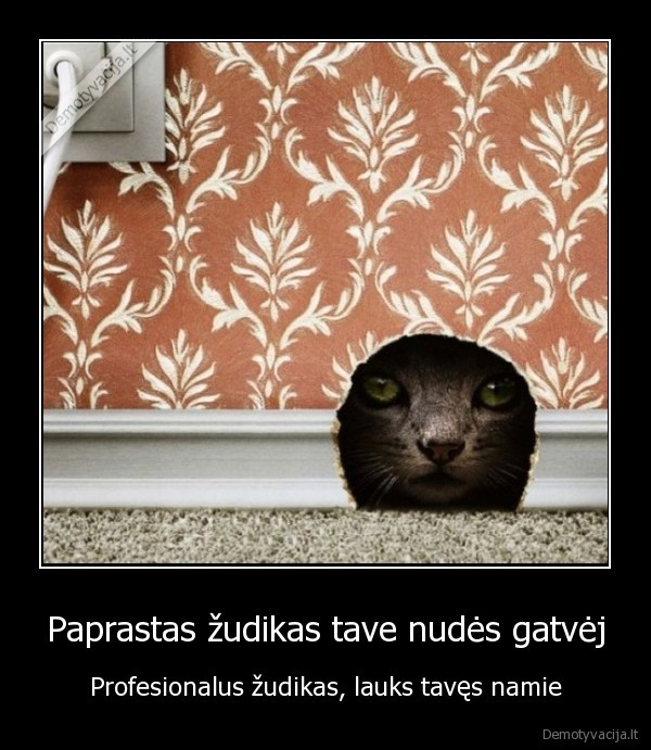 Paprastas žudikas tave nudės gatvėj