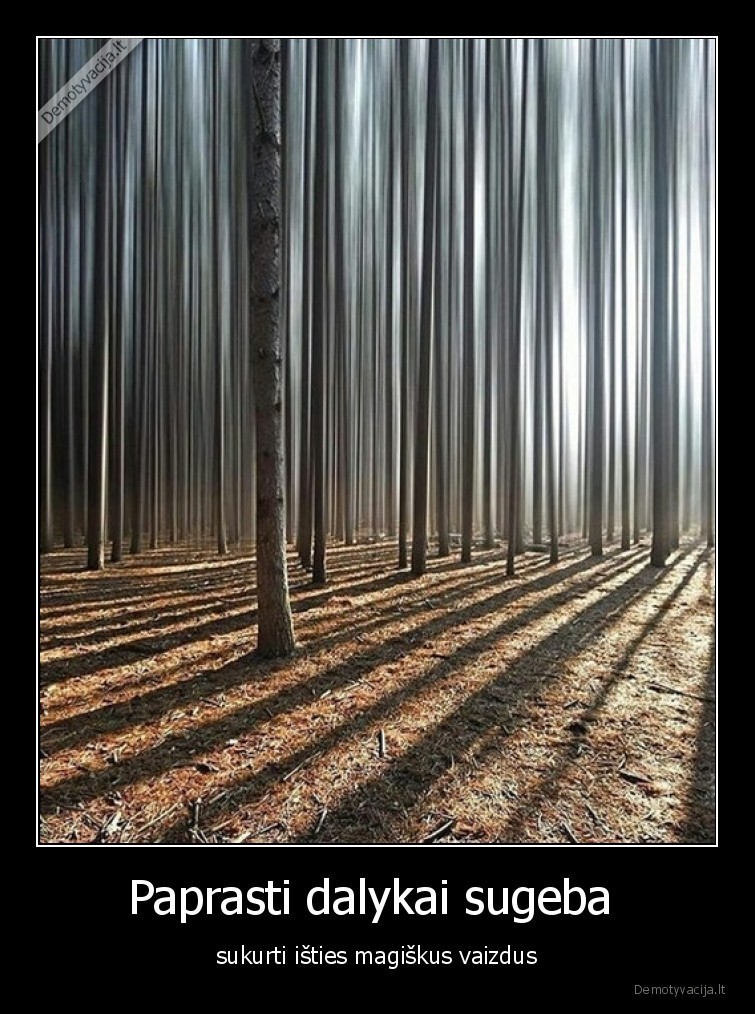 miskas,medziai,magiska