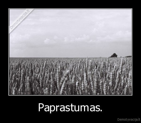 Paprastumas.