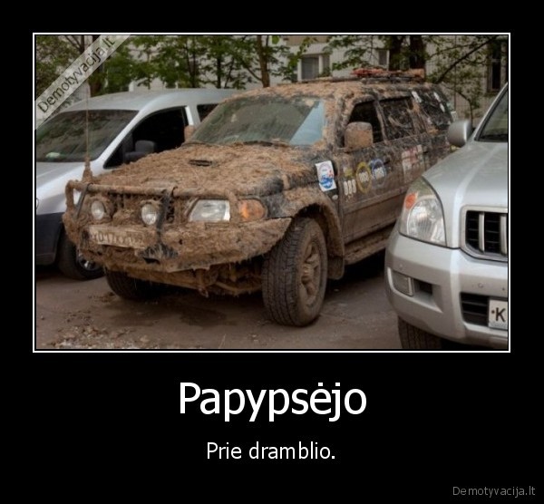 dramblys,masina,purvina