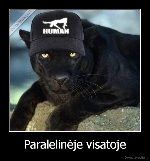 Paralelinėje visatoje