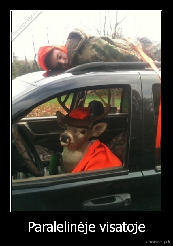 Paralelinėje visatoje