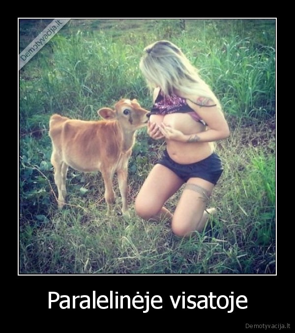 paraleline, visata,karve, zindo,moters, pienas