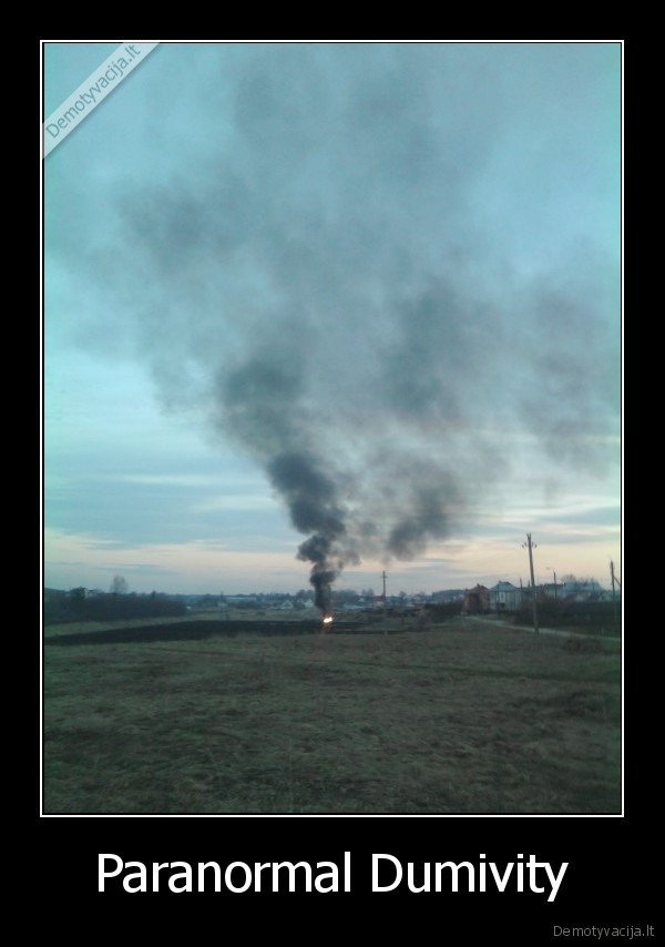Paranormal Dumivity