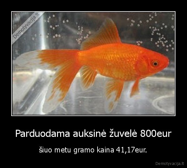 auksine, zuvele., auksas, eurai