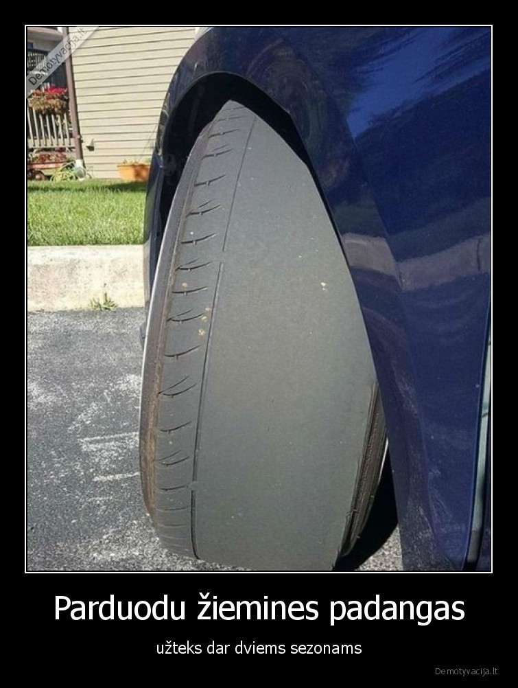 ziemines,padangos,ziema