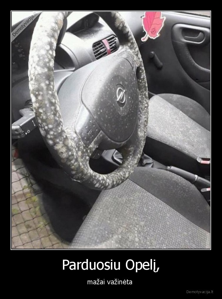 opelis,masina,vairas