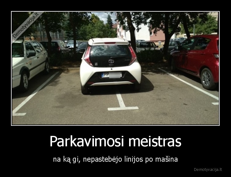 parkavimasis,parkuotis,parkuojasi,parkingas,masina,nemoka
