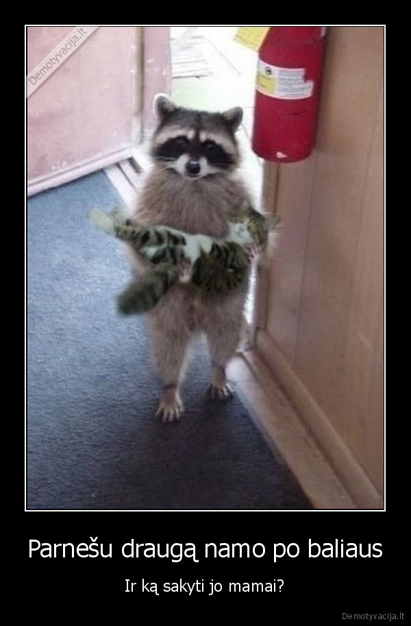 Parnešu draugą namo po baliaus