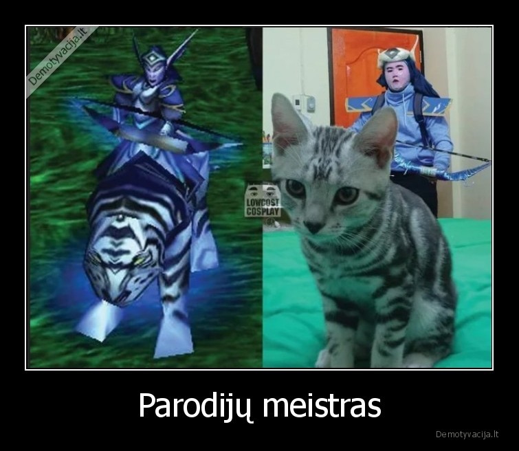 parodija,cosplay