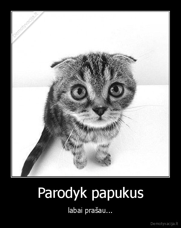 Parodyk papukus