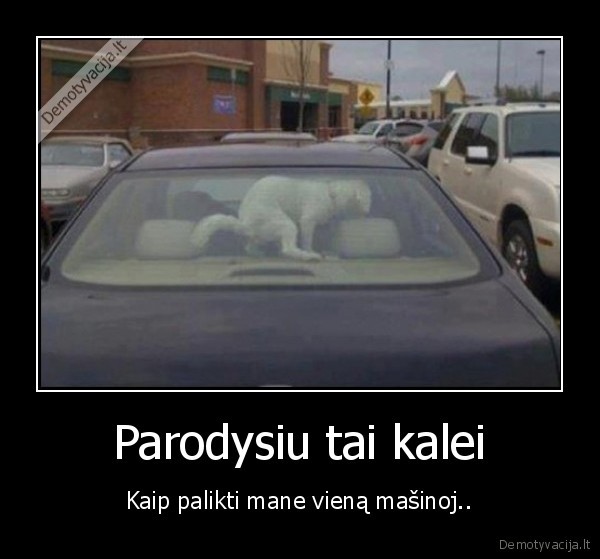 masina,suo,kale,pisa, sedyne