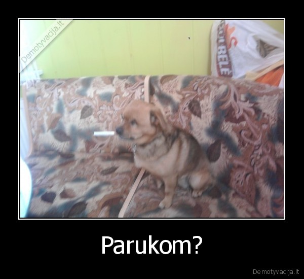 Parukom?