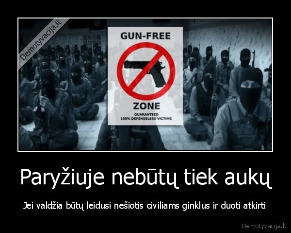 ginklai, liberalus, sveicarija, isis