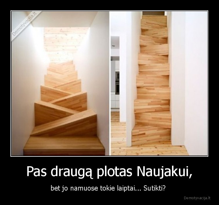 plotas,naujakas,naujieji, metai