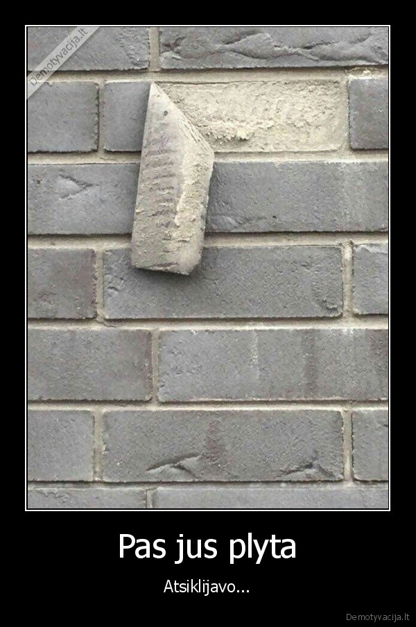 muliazas,brokas,plytine, siena