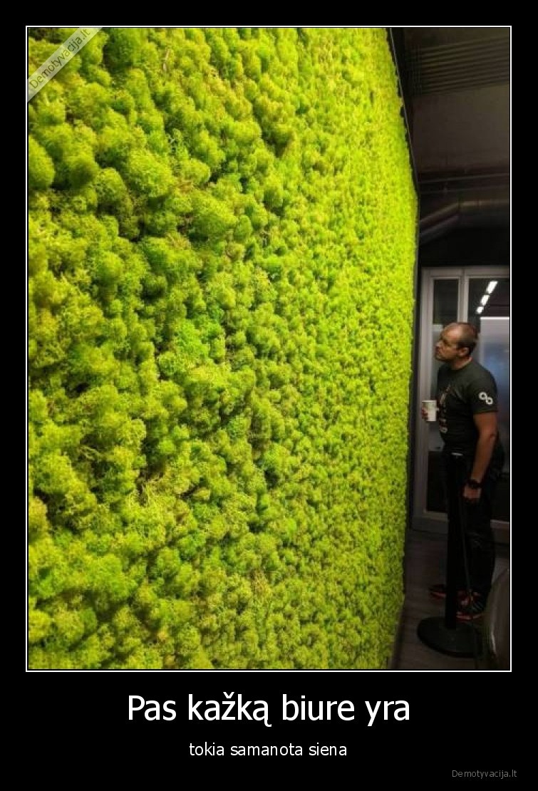 samanos,biure,idomybes,faktai,pas, kazka,samanu, siena,ofise