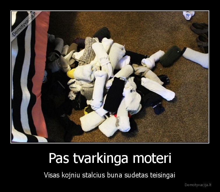 Pas tvarkinga moteri